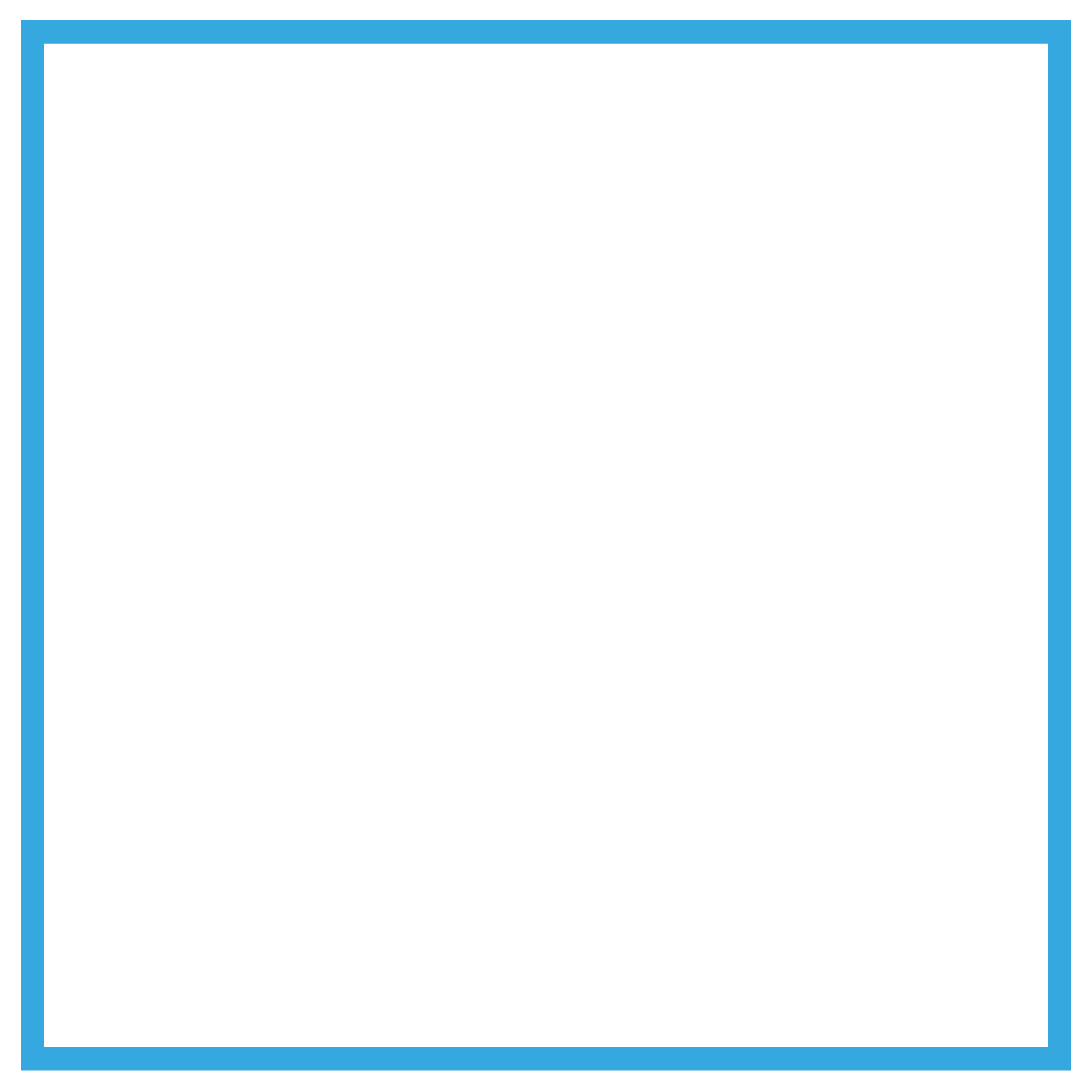 IntraMuros