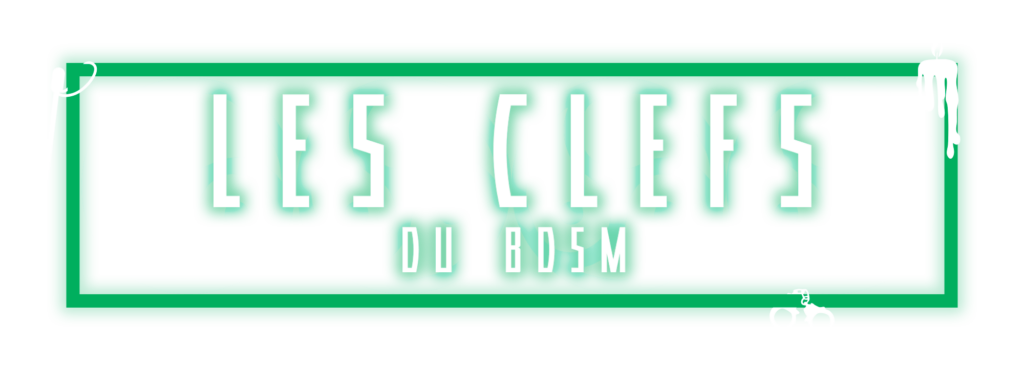logo les clefs du shibari (rectangle)