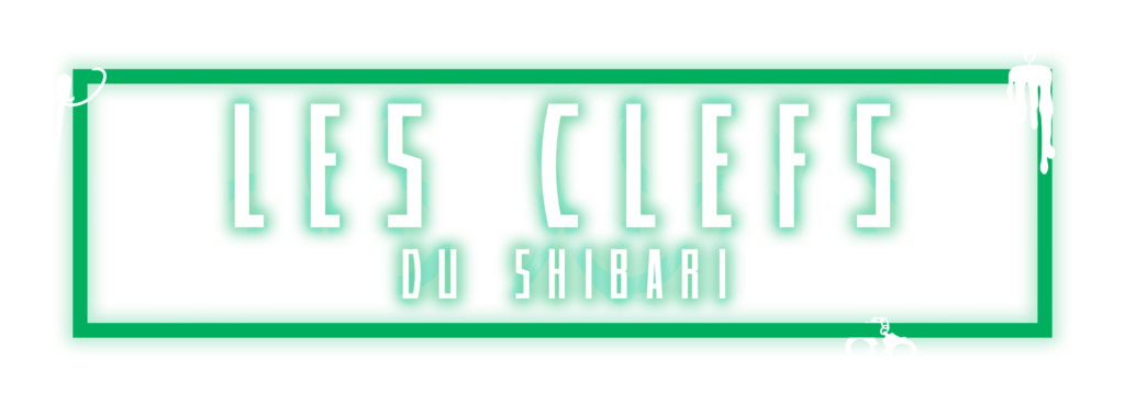 logo les clefs du shibari (rectangle)